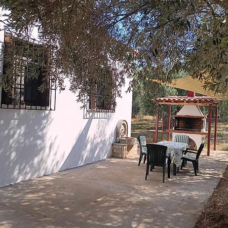 The Small House In The Olive Grove 莱福卡斯特龙 外观 照片