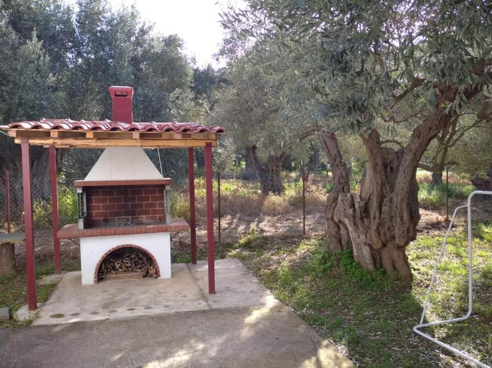 The Small House In The Olive Grove 莱福卡斯特龙 外观 照片