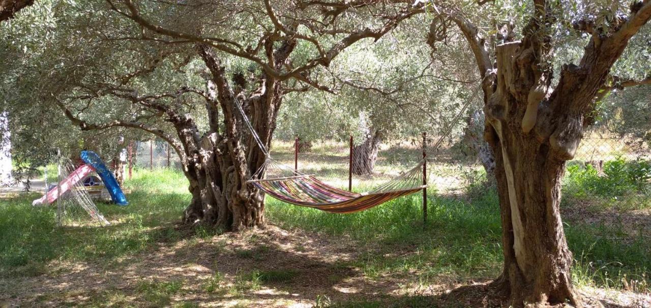 The Small House In The Olive Grove 莱福卡斯特龙 外观 照片