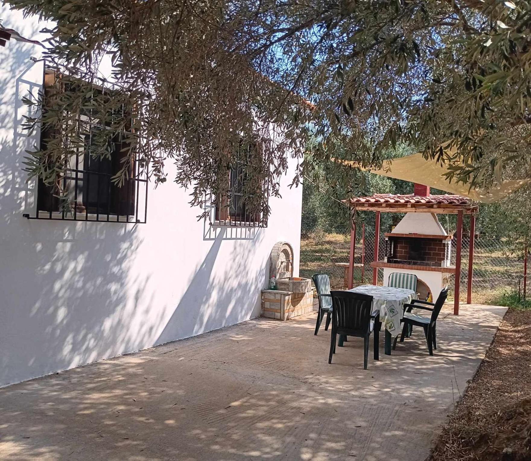 The Small House In The Olive Grove 莱福卡斯特龙 外观 照片