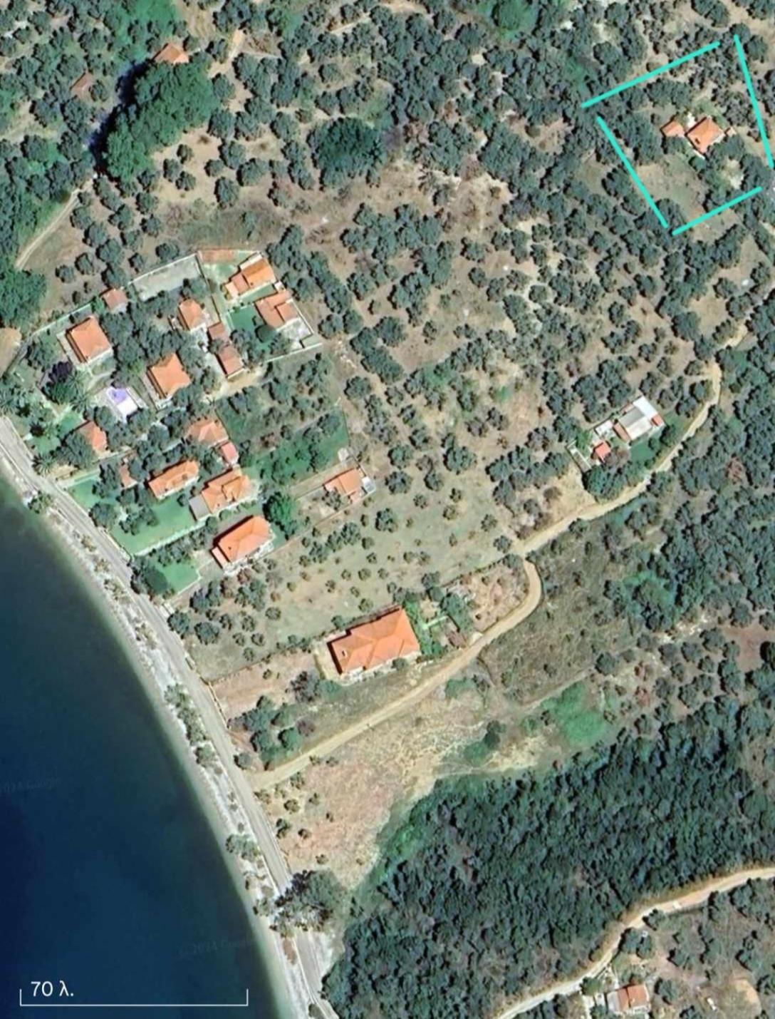 The Small House In The Olive Grove 莱福卡斯特龙 外观 照片
