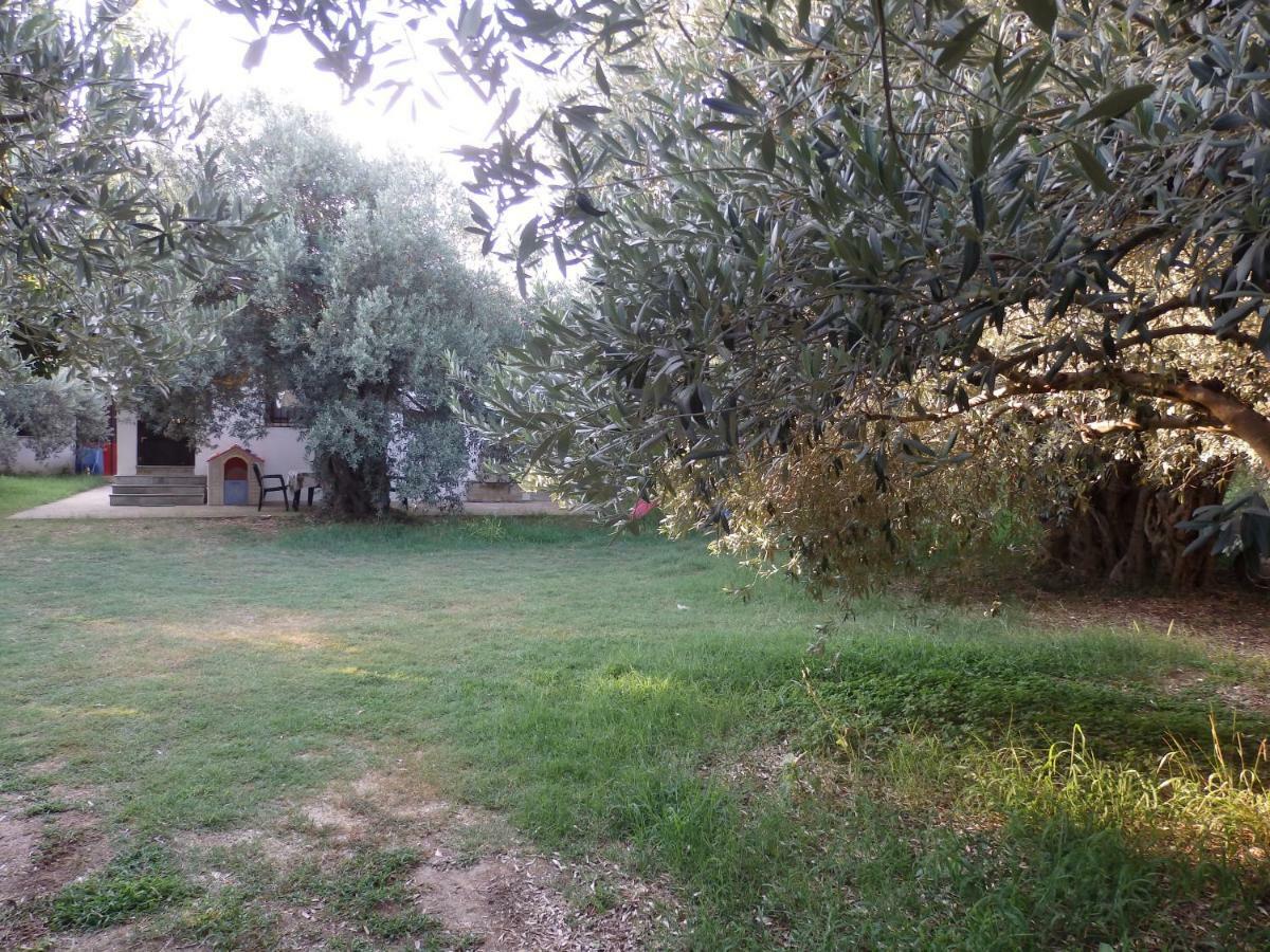 The Small House In The Olive Grove 莱福卡斯特龙 外观 照片