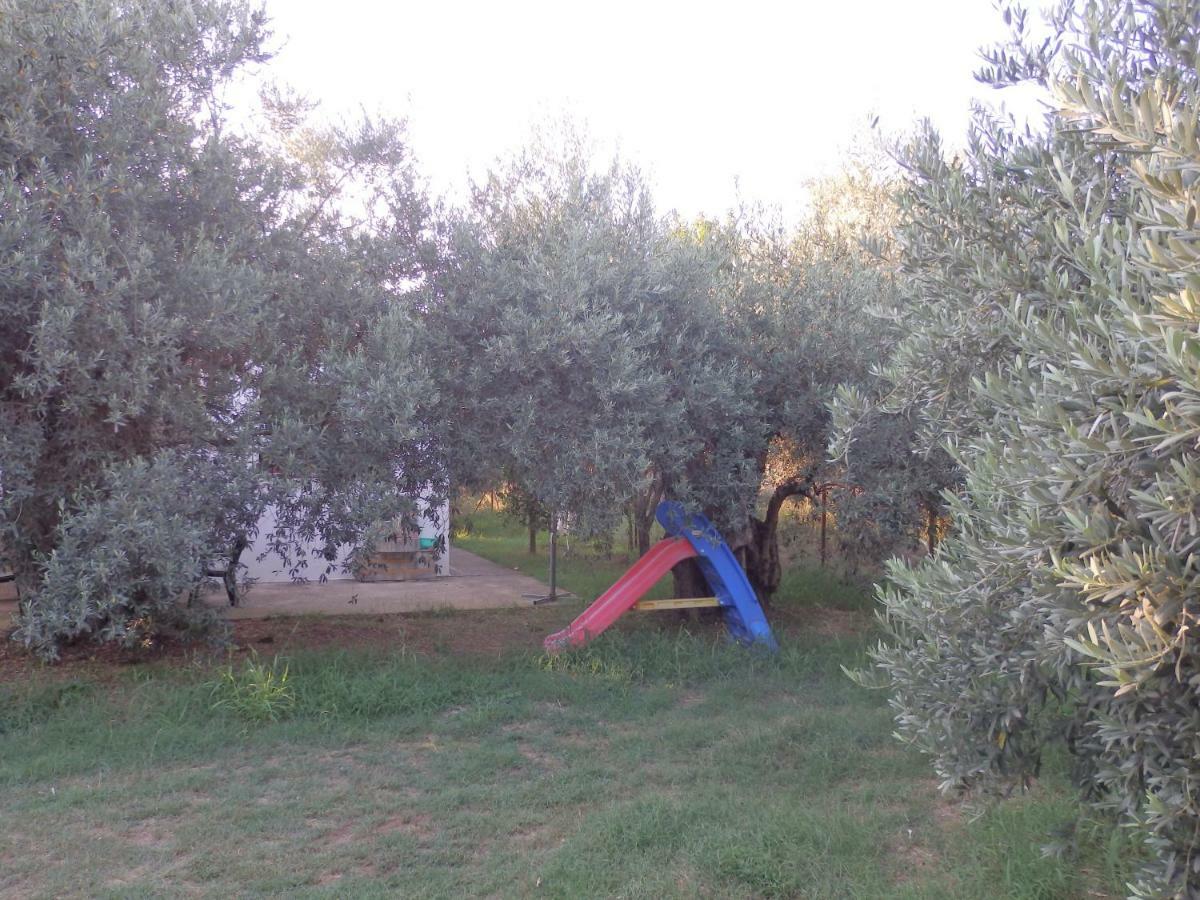 The Small House In The Olive Grove 莱福卡斯特龙 外观 照片
