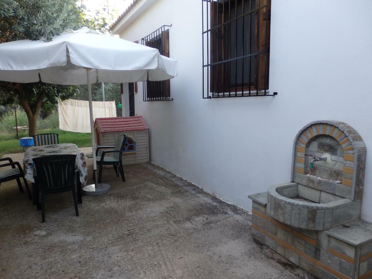 The Small House In The Olive Grove 莱福卡斯特龙 外观 照片