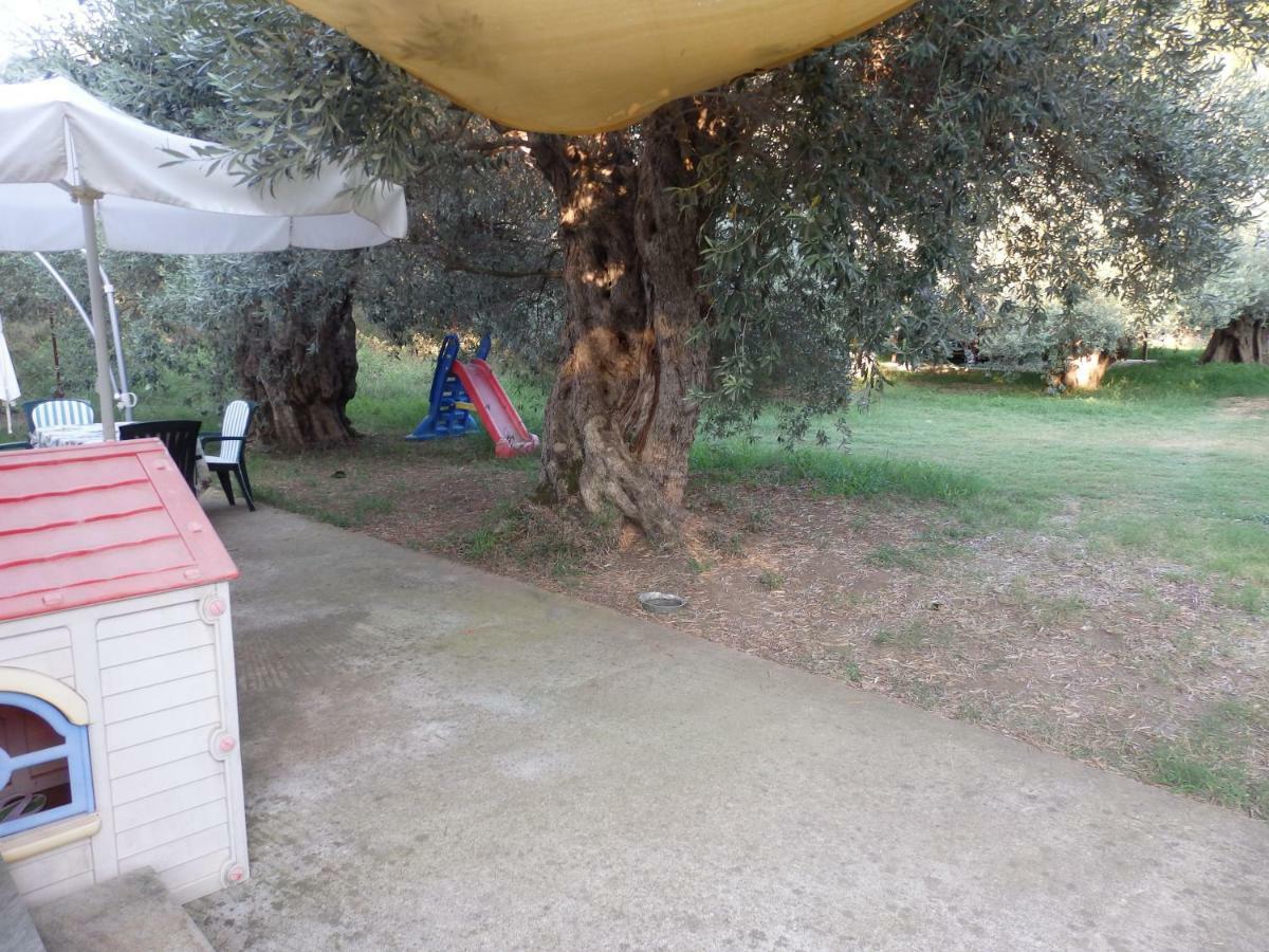 The Small House In The Olive Grove 莱福卡斯特龙 外观 照片