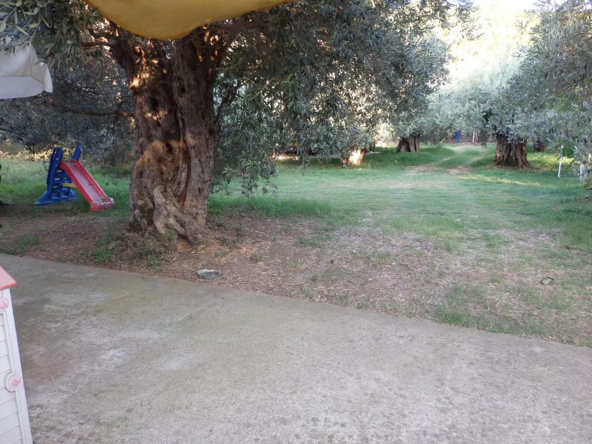 The Small House In The Olive Grove 莱福卡斯特龙 外观 照片