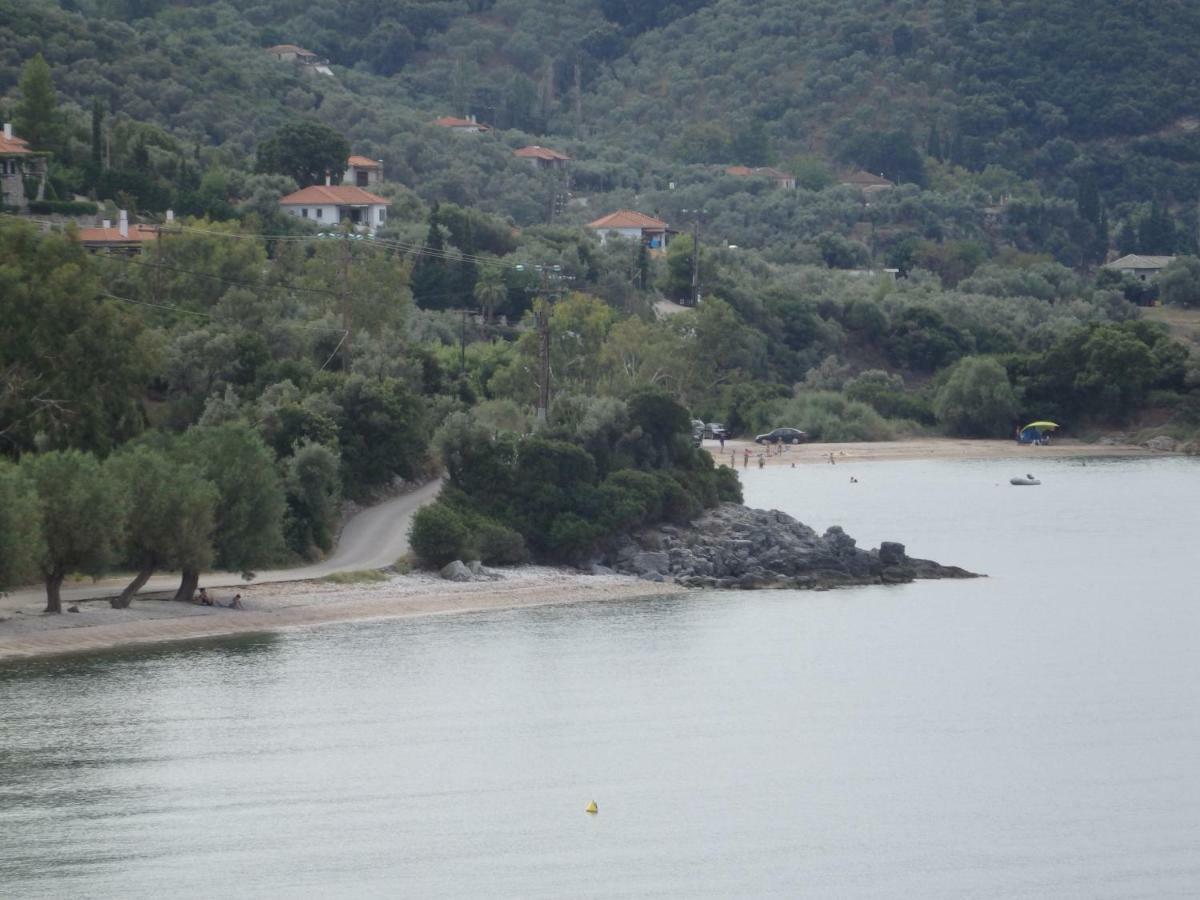 The Small House In The Olive Grove 莱福卡斯特龙 外观 照片